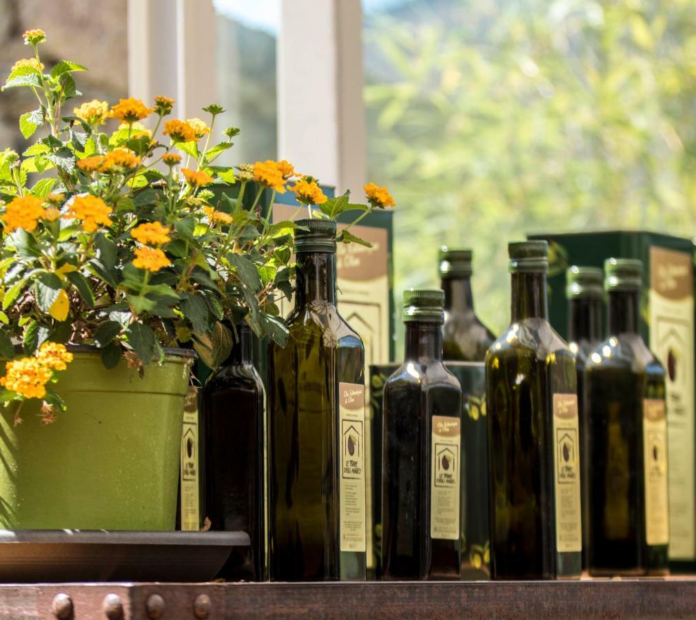 Agriturismo Terre Degli Angeli Bauernhof
